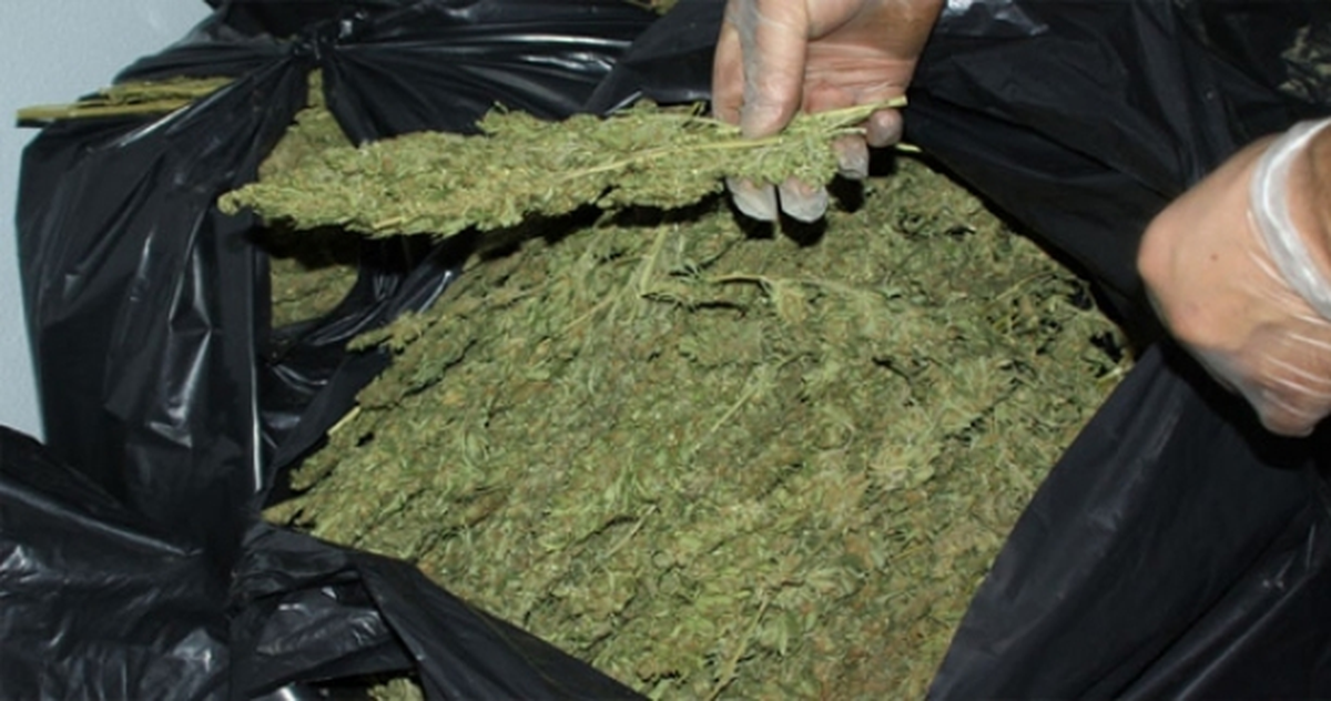 Diyarbakır\'da 534,5 Kilo Esrar Ele Geçirildi