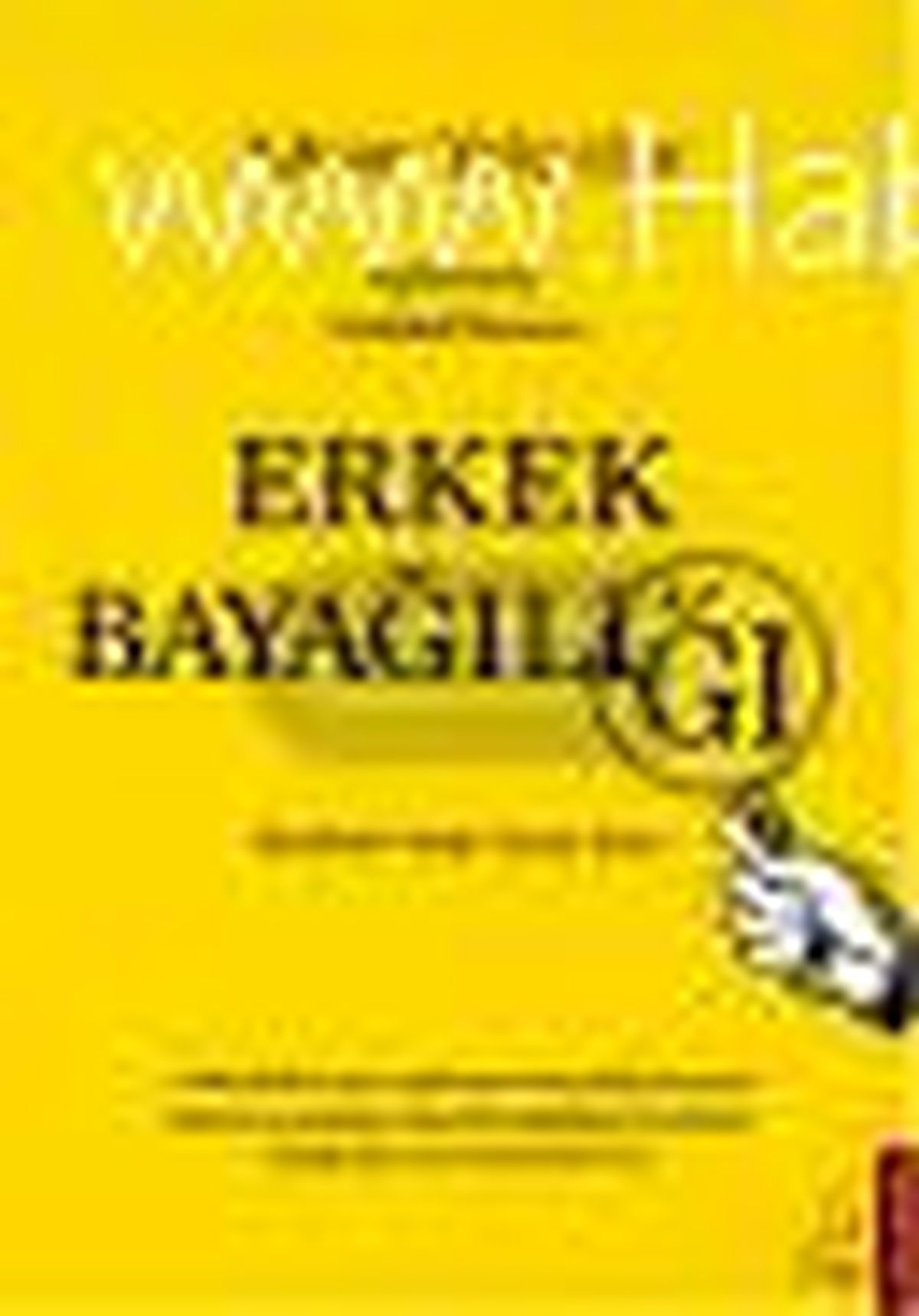 Erkek Bayağılığı Kitabı