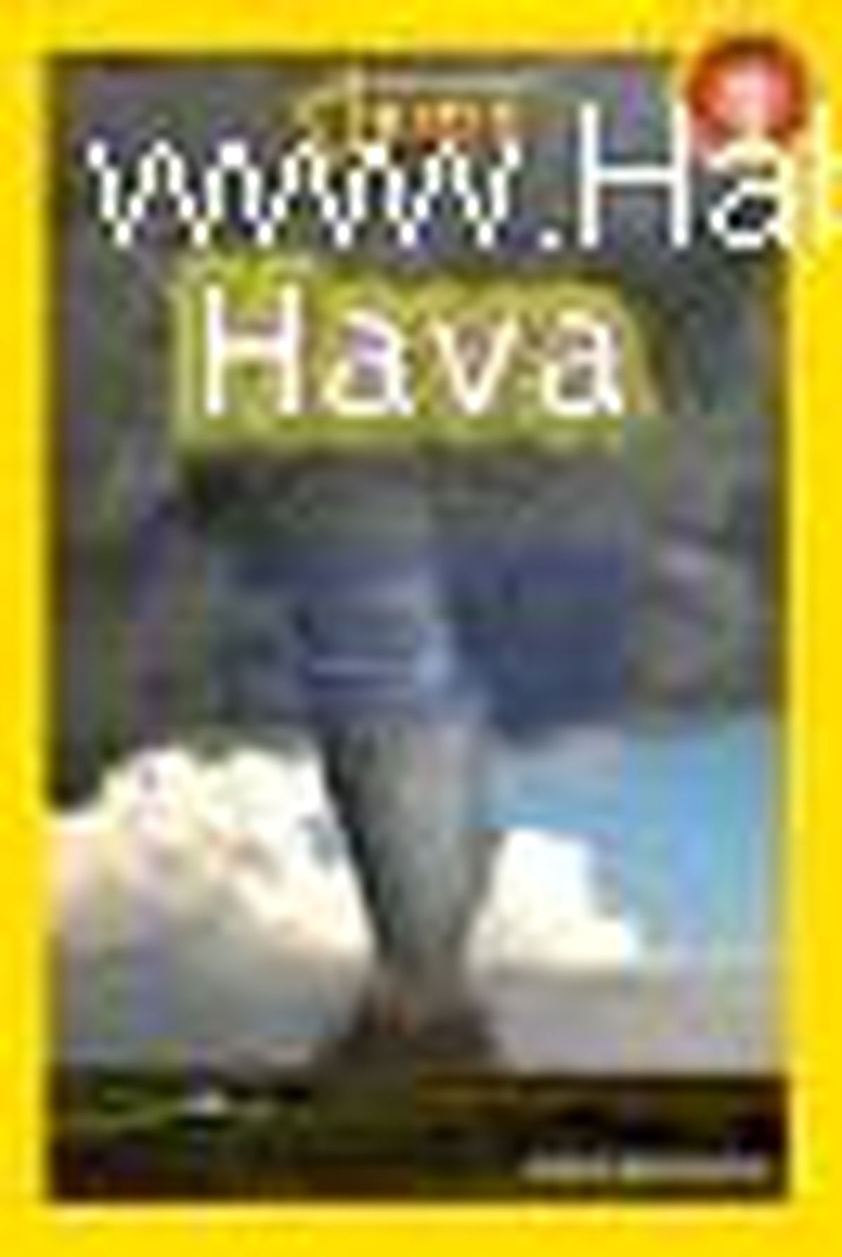 Hava Kitabı