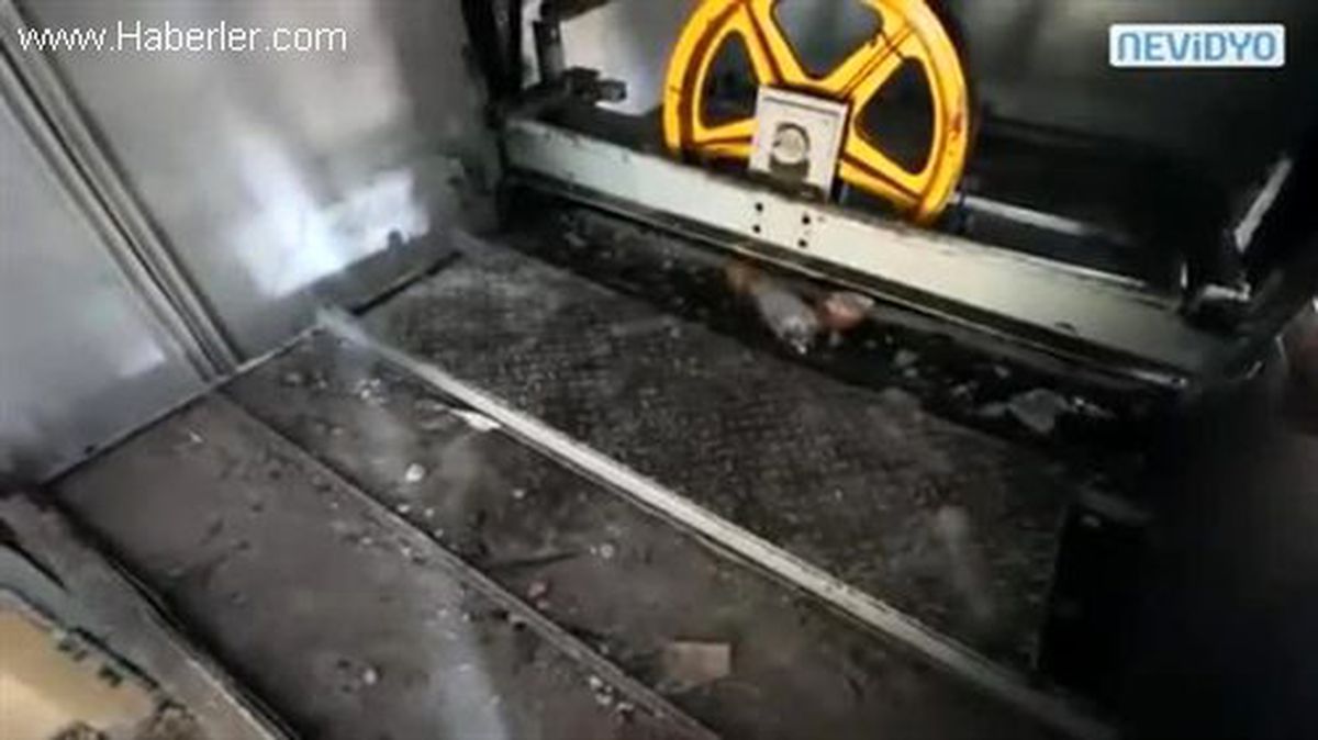 Kalbi Olan Bu Görüntüyü İzlemesin!