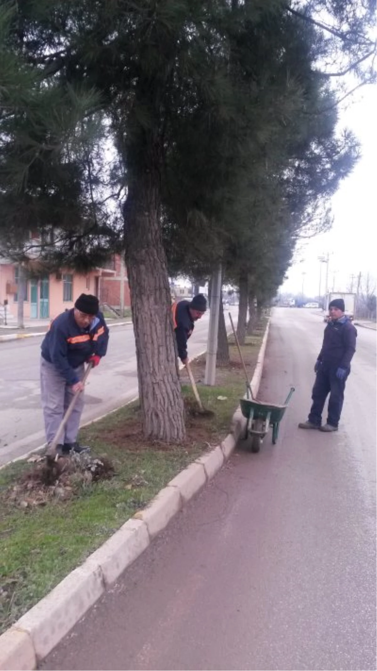 Kartepe Park Bahçelerde Hummalı Çalışma