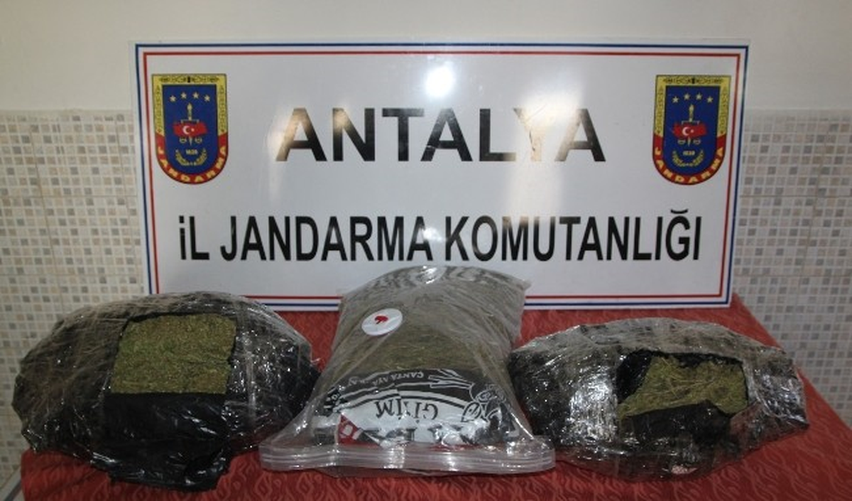 Narkotik Köpeği "Çıtır"Dan Uyuşturucuya Geçit Yok