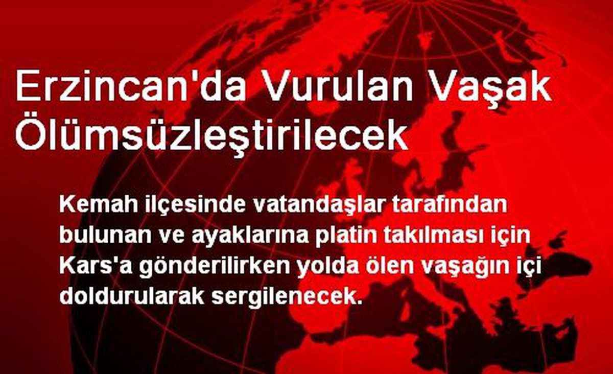 Erzincan\'da Vurulan Vaşak Ölümsüzleştirilecek
