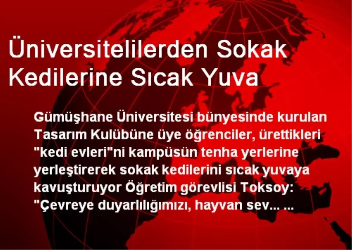 Üniversitelilerden Sokak Kedilerine Sıcak Yuva