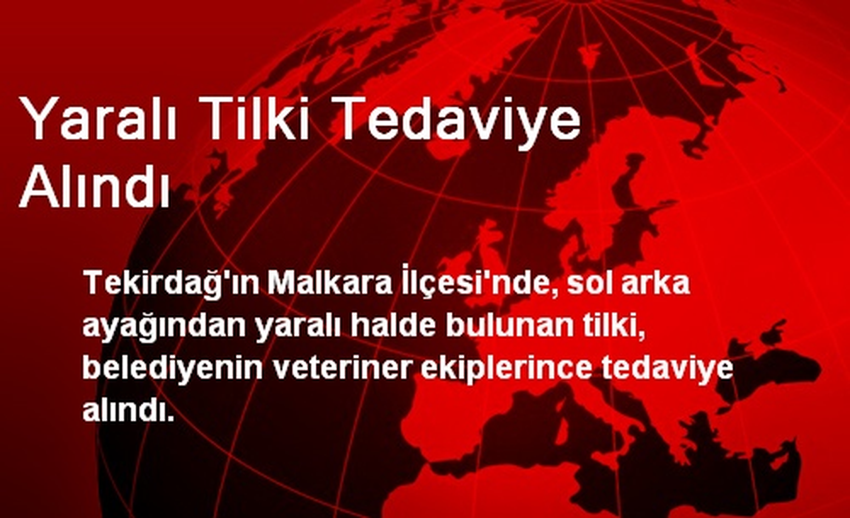 Yaralı Tilki Tedaviye Alındı