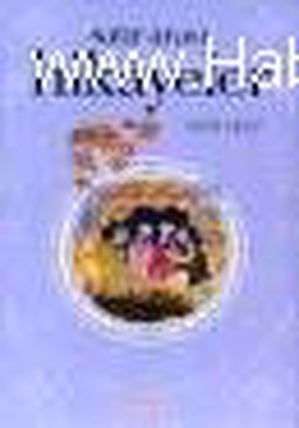 Satır Arası Hikayeler Kitabı Çıktı