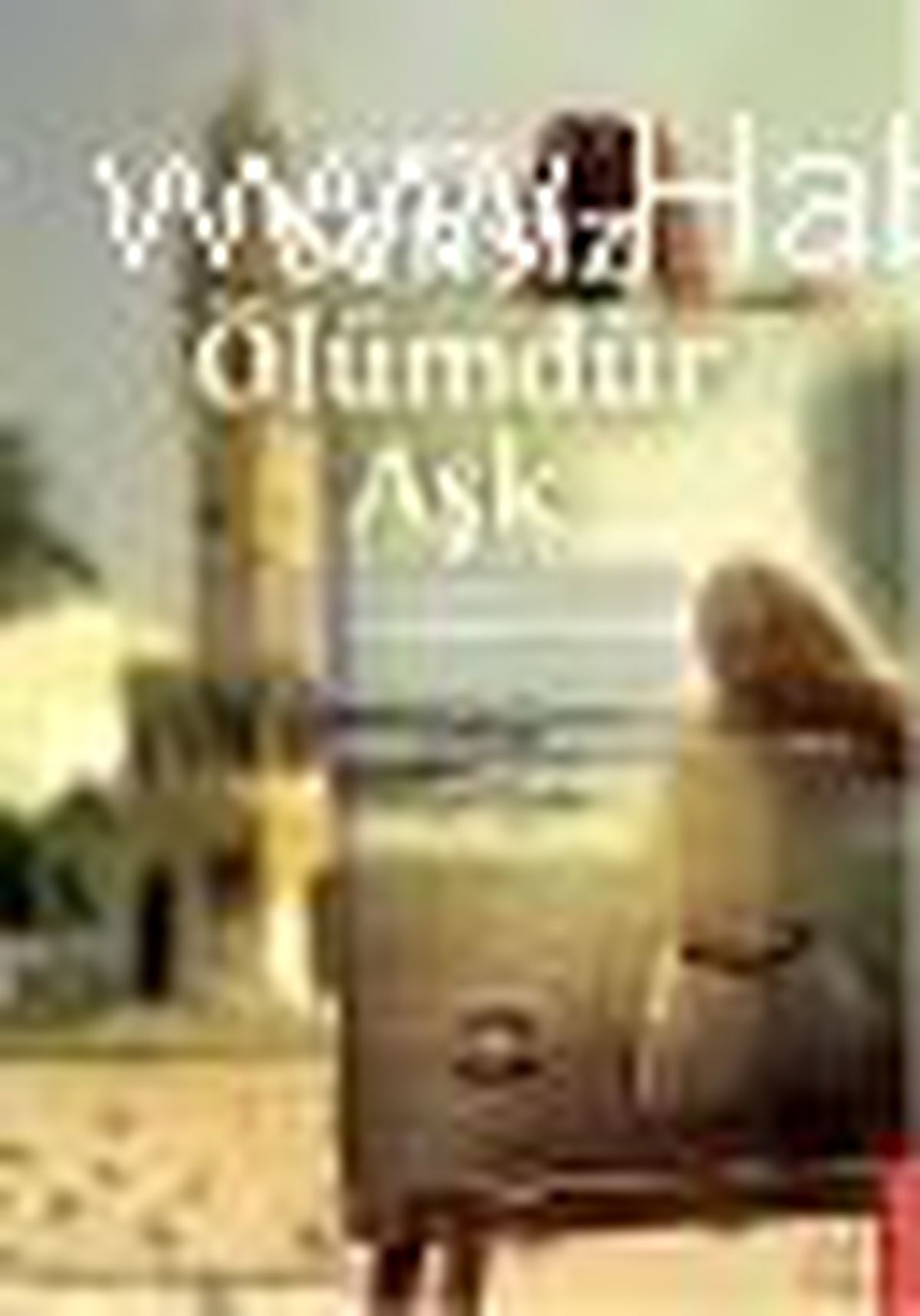Sensiz Ölümdür Aşk Kitabı
