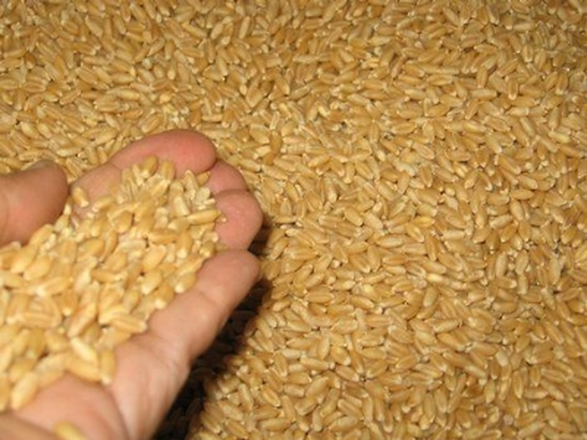 Uşak Ticaret Borsası