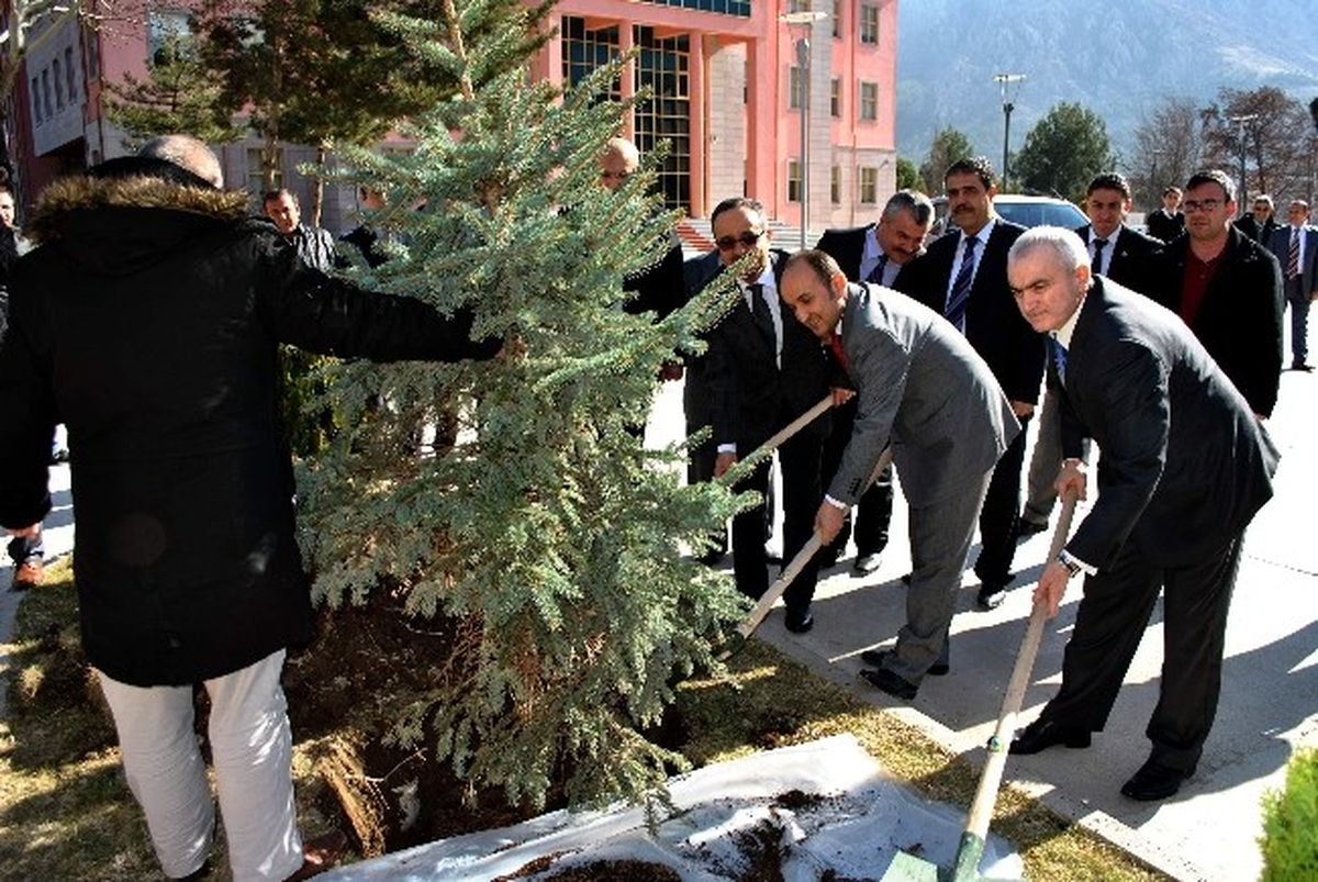 Amasya Obm Üniversiteleri Ağaçlandıracak