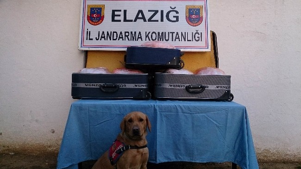 Elazığ\'da 32 Kilogram Esrar Ele Geçirildi