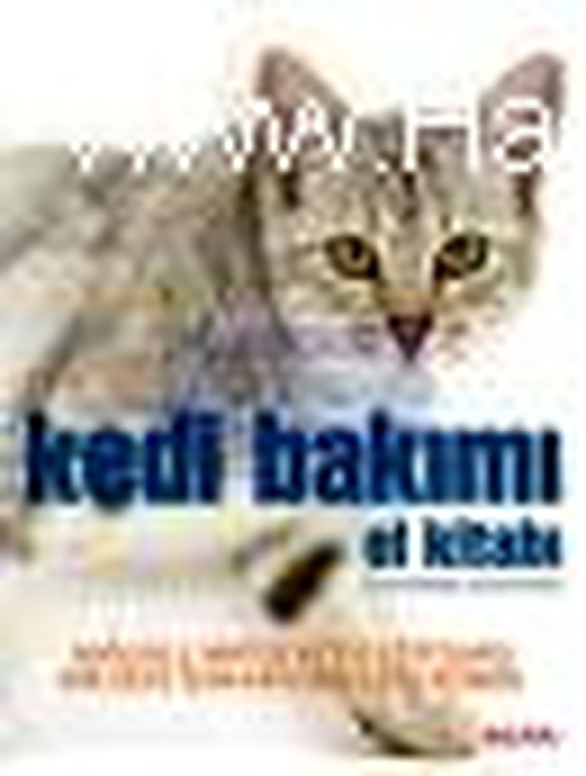 Kedi Bakımı Kitabı Çıktı