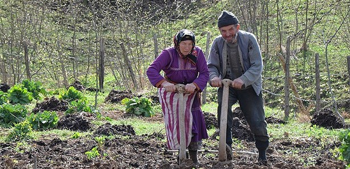 Köylü Nüfusu Yüzde 61 Azaldı