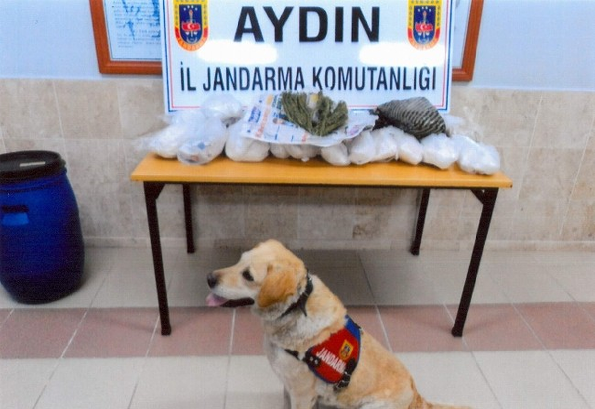 Nazilli\'de 3 Kilo Esrar Ele Geçirdi