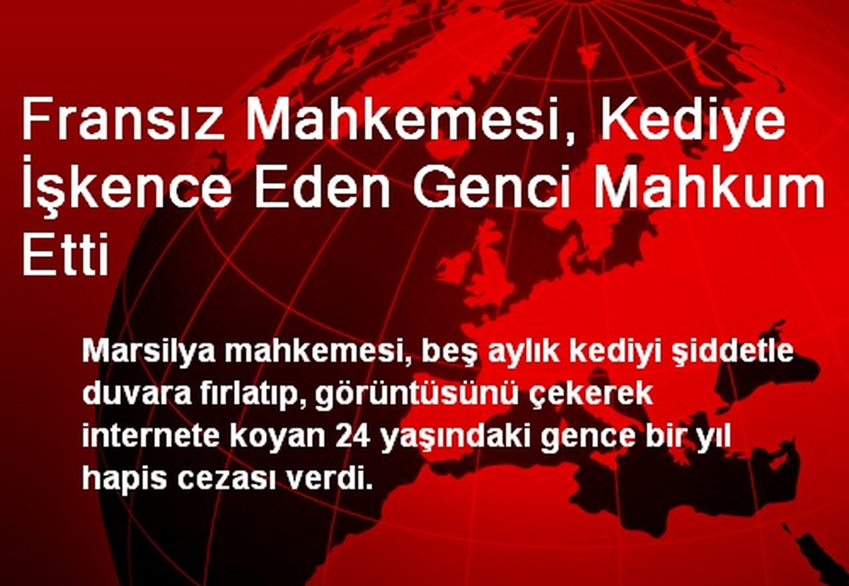 Fransız Mahkemesi, Kediye İşkence Eden Genci Mahkum Etti