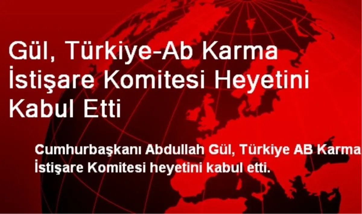 Gül, Türkiye-Ab Karma İstişare Komitesi Heyetini Kabul Etti