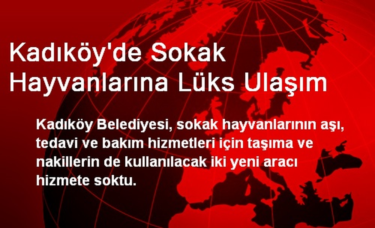 Kadıköy\'de Sokak Hayvanlarına Lüks Ulaşım