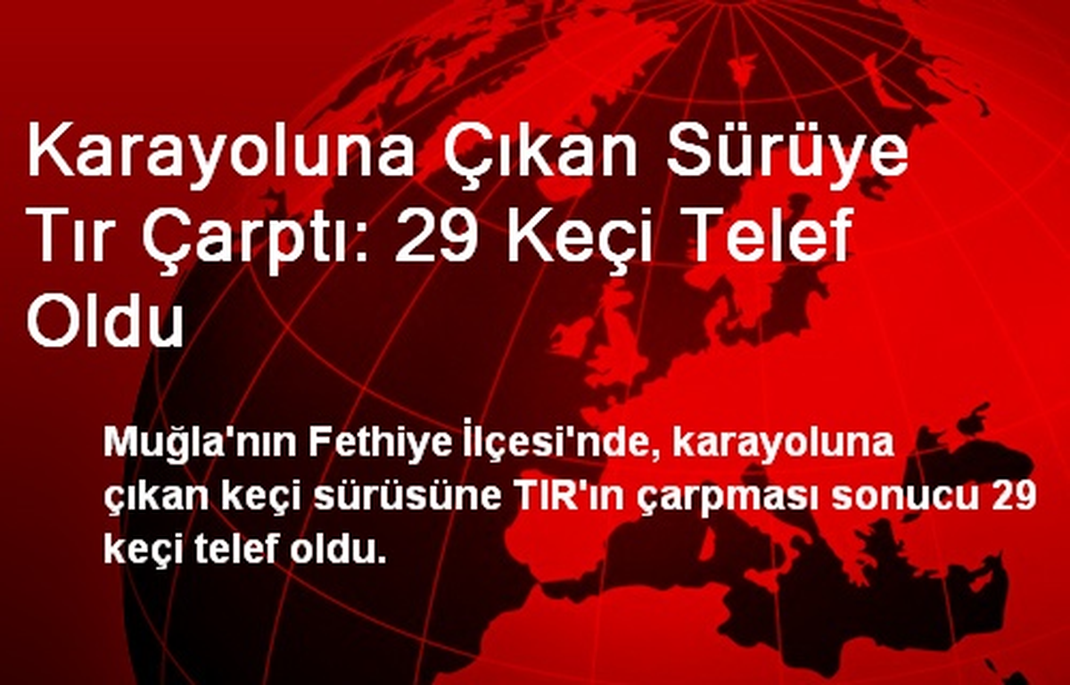 Karayoluna Çıkan Sürüye Tır Çarptı: 29 Keçi Telef Oldu