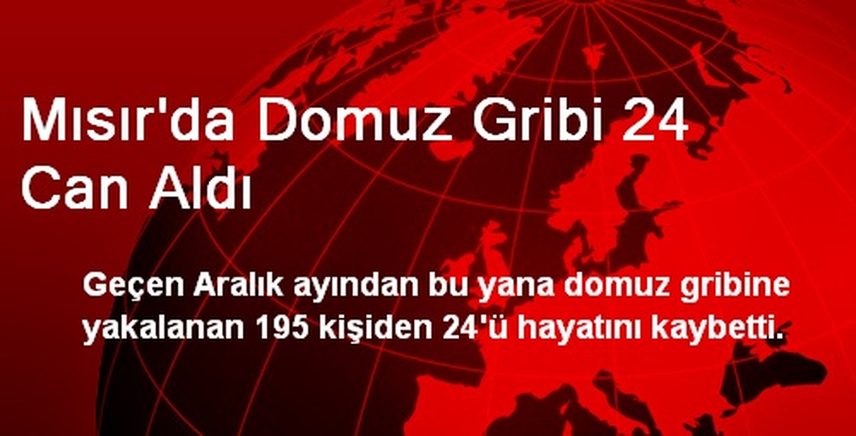 Mısır\'da Domuz Gribi 24 Can Aldı