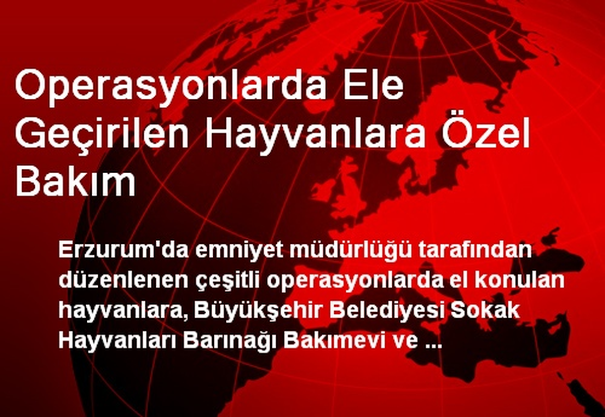 Operasyonlarda Ele Geçirilen Hayvanlara Özel Bakım