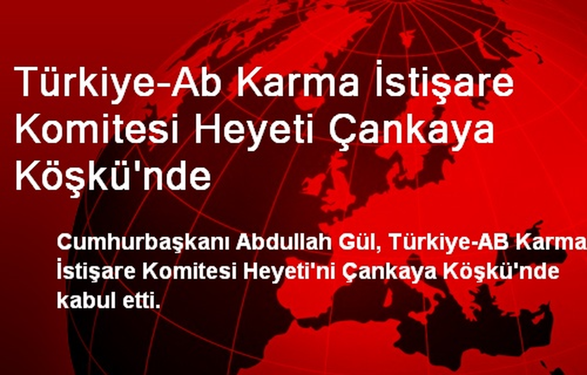 Türkiye-Ab Karma İstişare Komitesi Heyeti Çankaya Köşkü\'nde