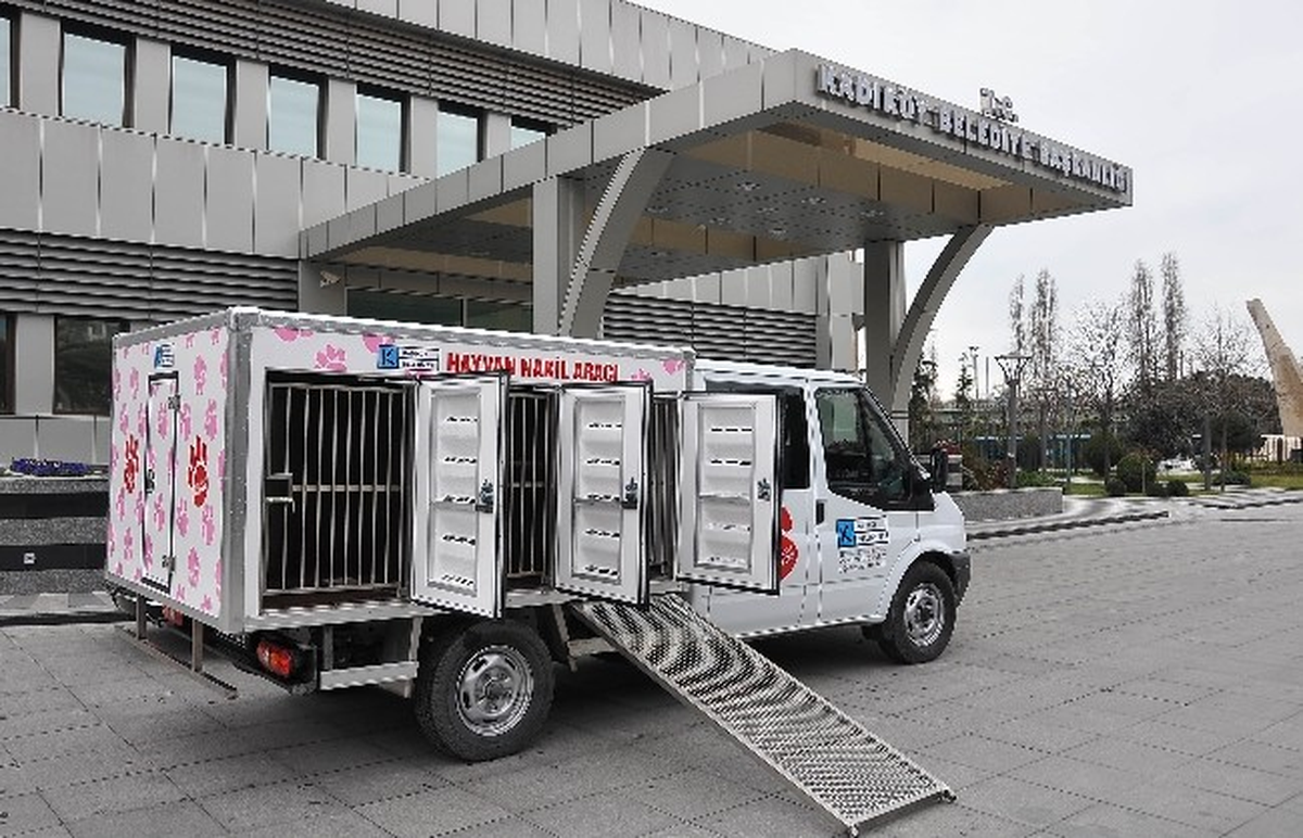Sokak Hayvanlarına Lüks Nakil Aracı