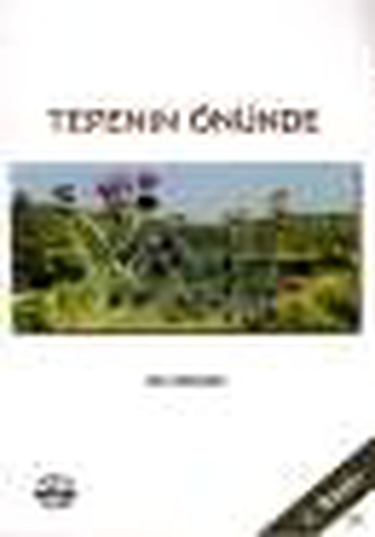 Tepenin Önünde Kitabı