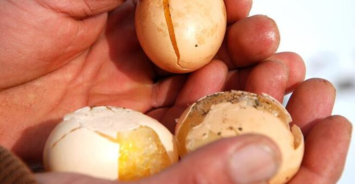 Ardahan\'da Yumurta Donduran Soğuklar