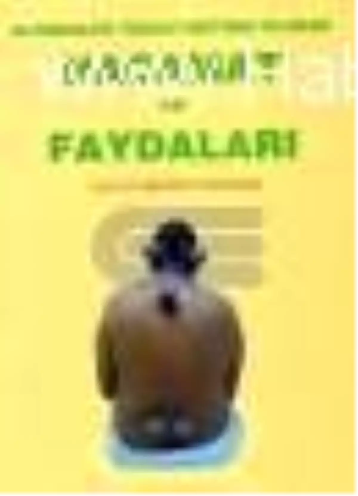 Hacamat ve Faydaları Kitabı