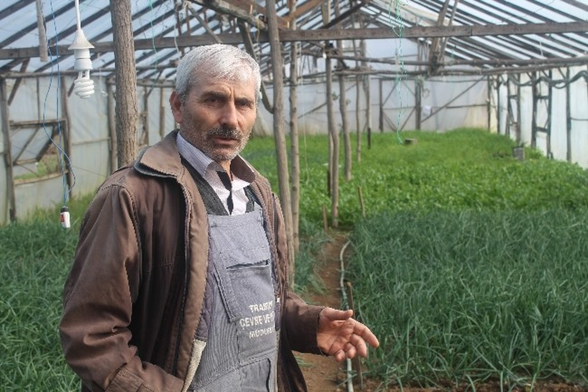 Isıtıcı Bulunmayan Dev Çadırda Her Türlü Sebze Yetişiyor