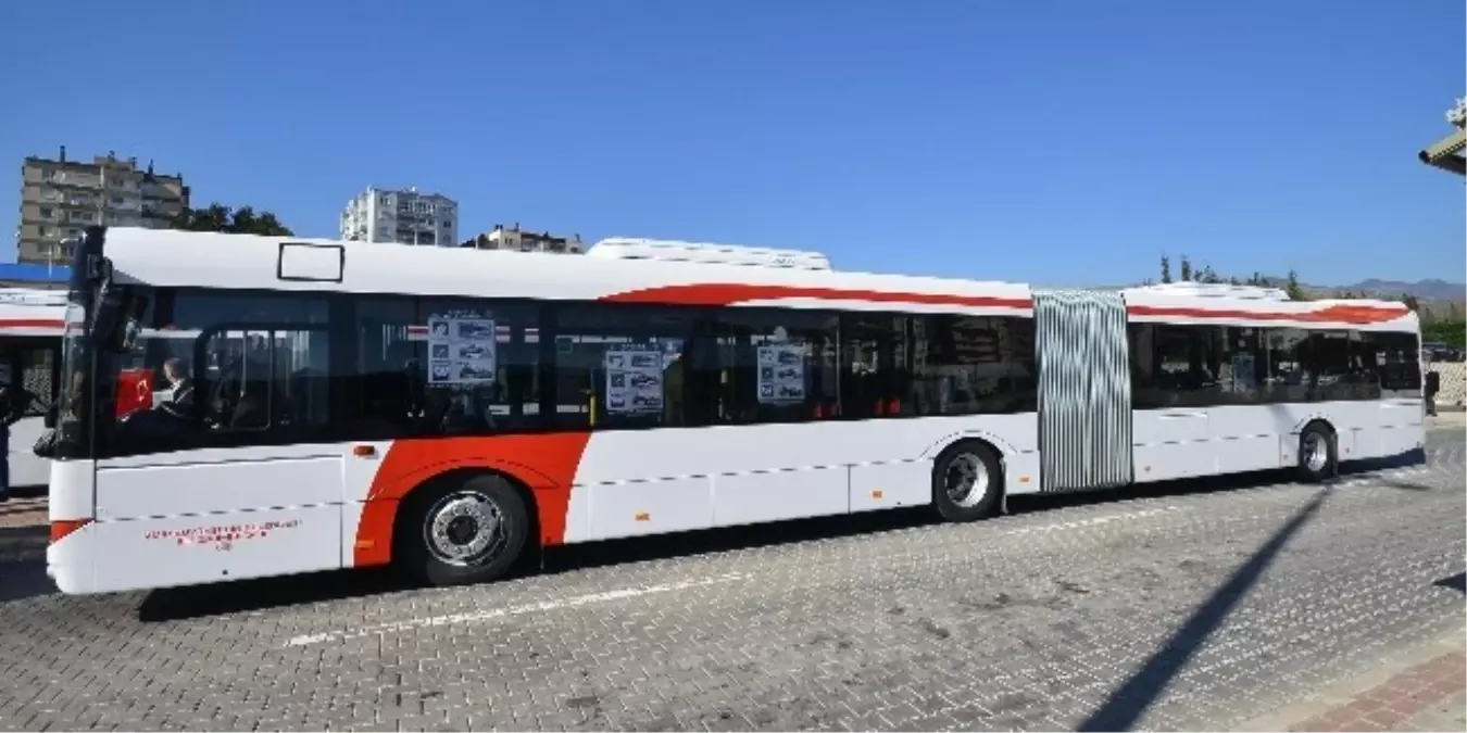 İzmir\'in Yeni \'Kuğu\'ları Geldi