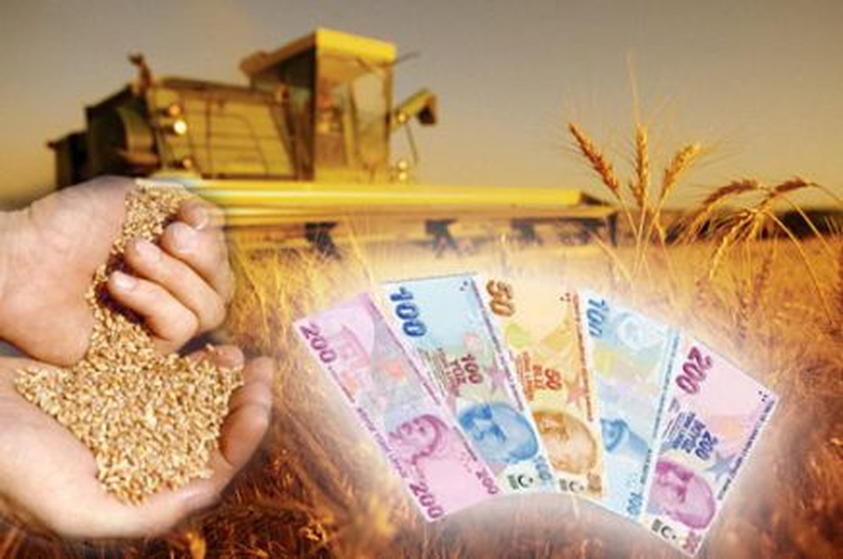 Mardin\'de Çiftçiye 29 Milyon TL Destekleme Ödemesi Yapılacak