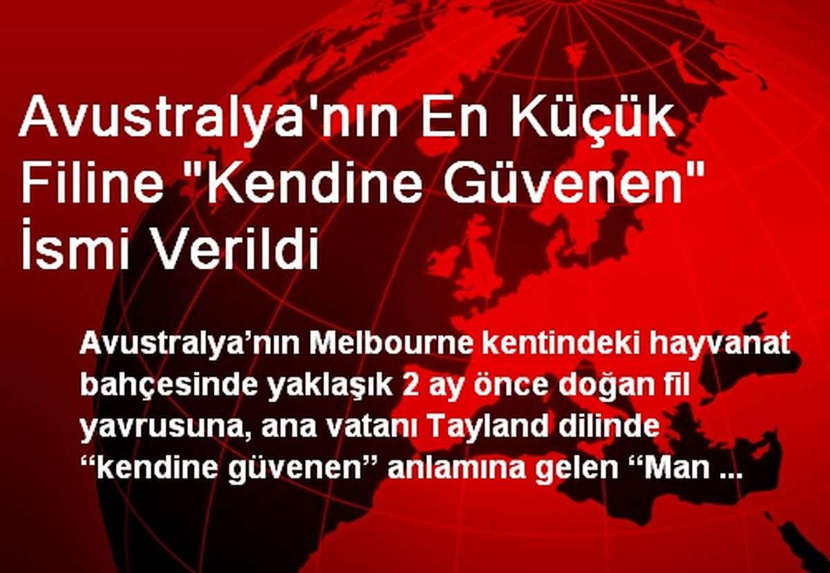 Avustralya\'nın En Küçük Filine "Kendine Güvenen" İsmi Verildi