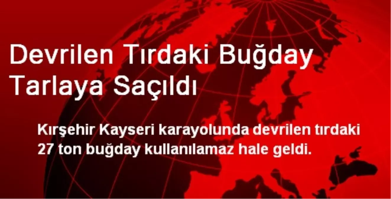 Devrilen Tırdaki Buğday Tarlaya Saçıldı