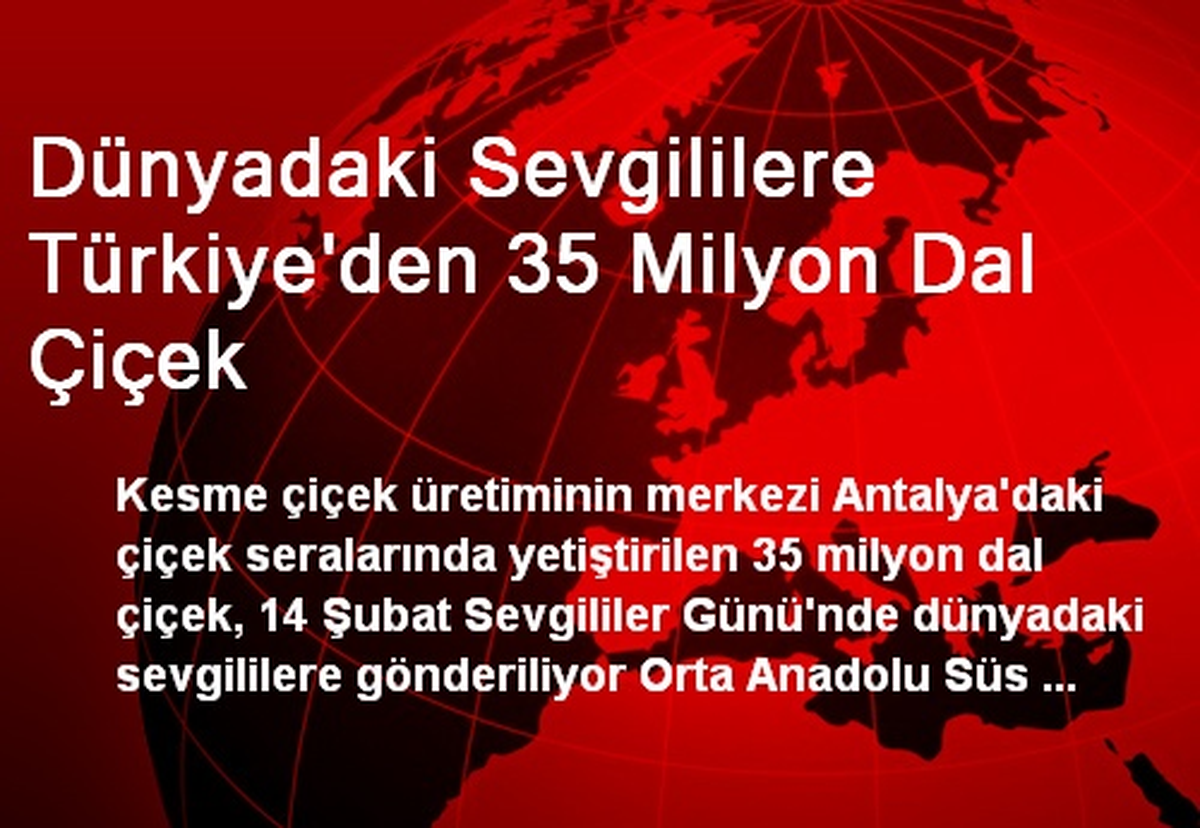 Dünyadaki Sevgililere Türkiye\'den 35 Milyon Dal Çiçek
