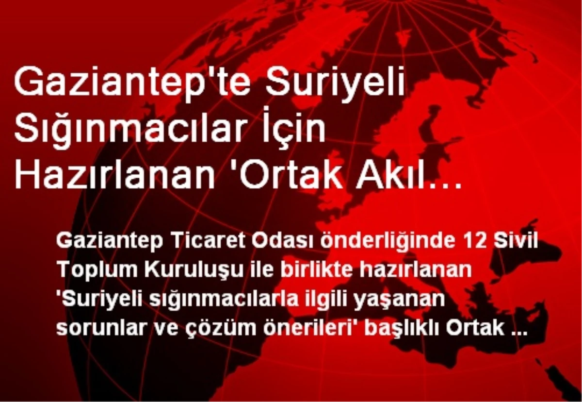 Gaziantep\'te Suriyeli Sığınmacılar İçin Hazırlanan \'Ortak Akıl Raporu\' Açıklandı