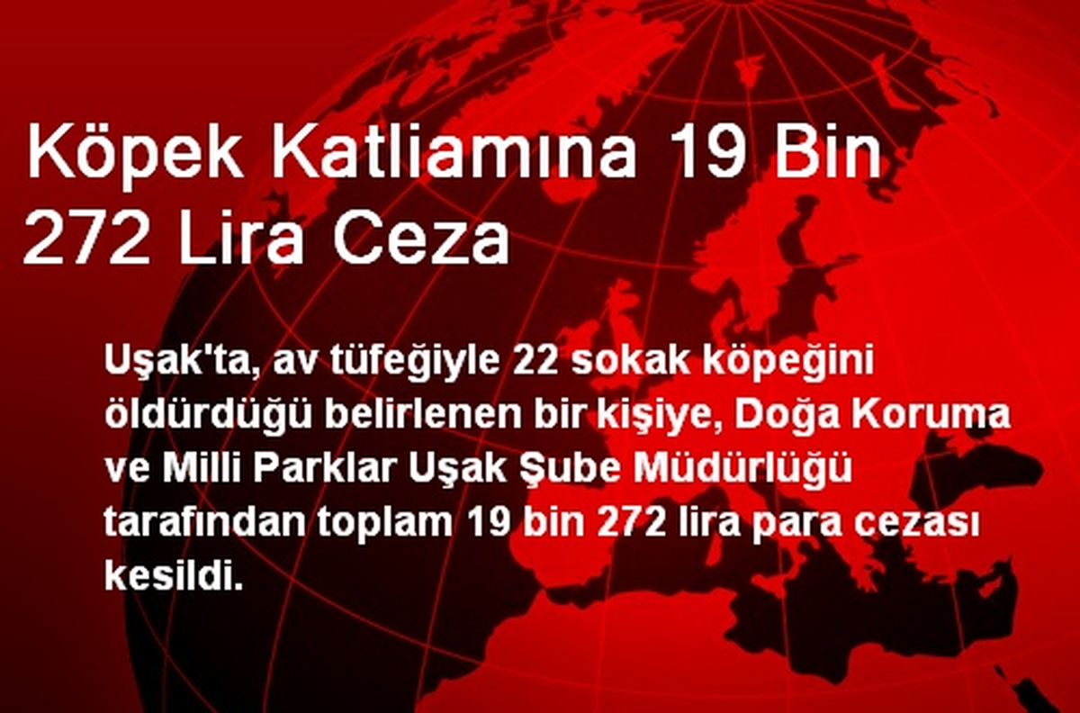 Köpek Katliamına 19 Bin 272 Lira Ceza