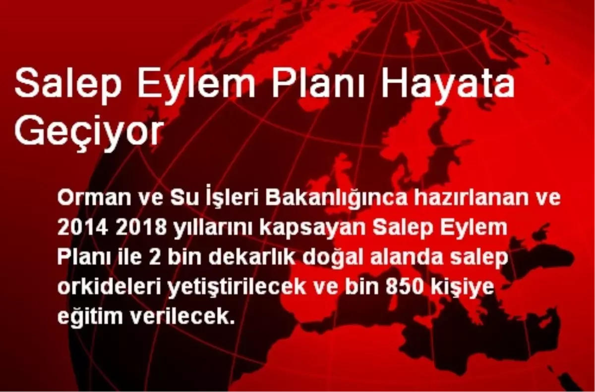 Salep Eylem Planı Hayata Geçiyor