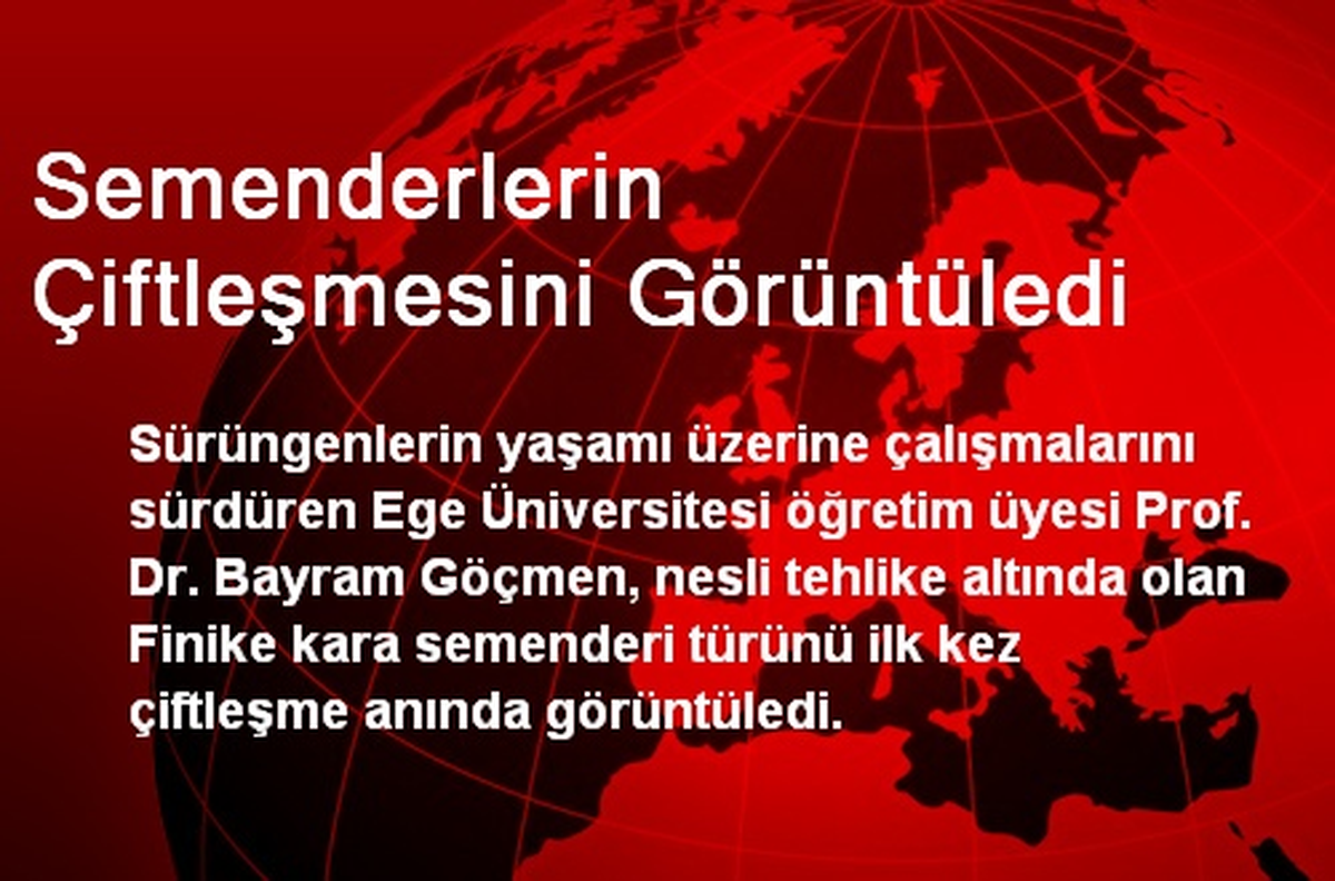 Semenderlerin Çiftleşmesini Görüntüledi