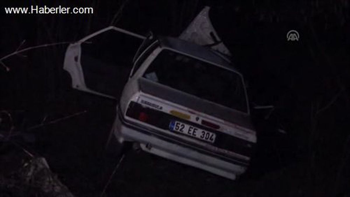 Otomobil fındık bahçesine devrildi: 6 yaralı -