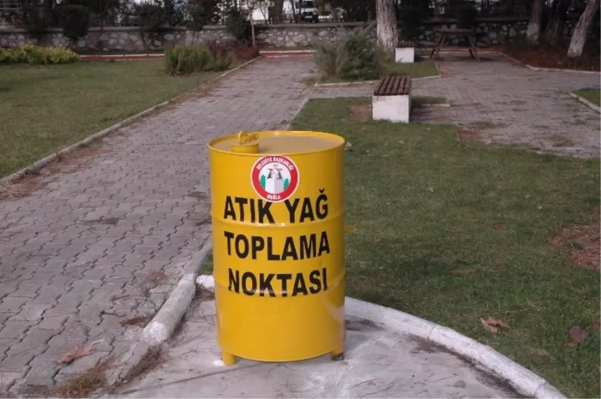 Atık Yağlar Todplanıyor