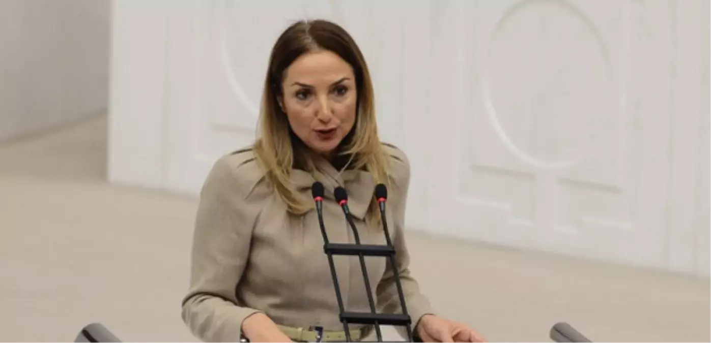 CHP\'li Nazlıaka: Erken Yaşta Evlendirilen Çocukları Konusunu Meclise Taşıdı