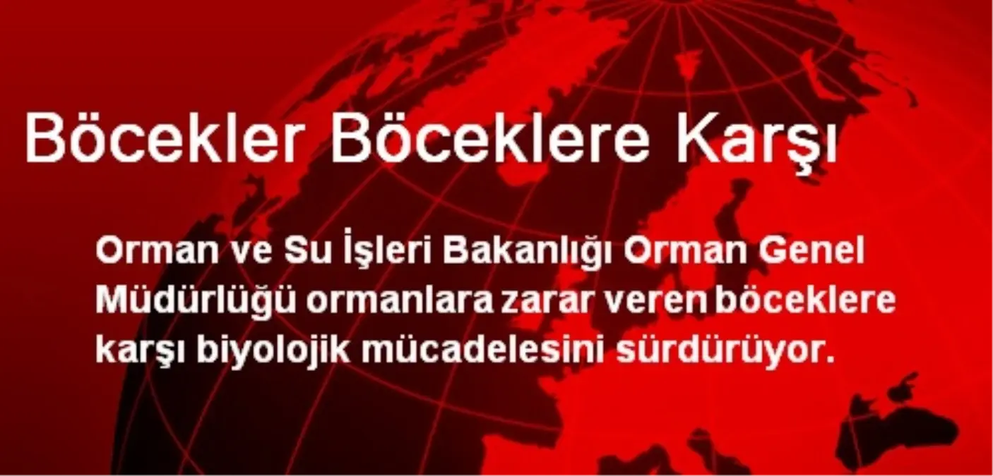 Böcekler Böceklere Karşı