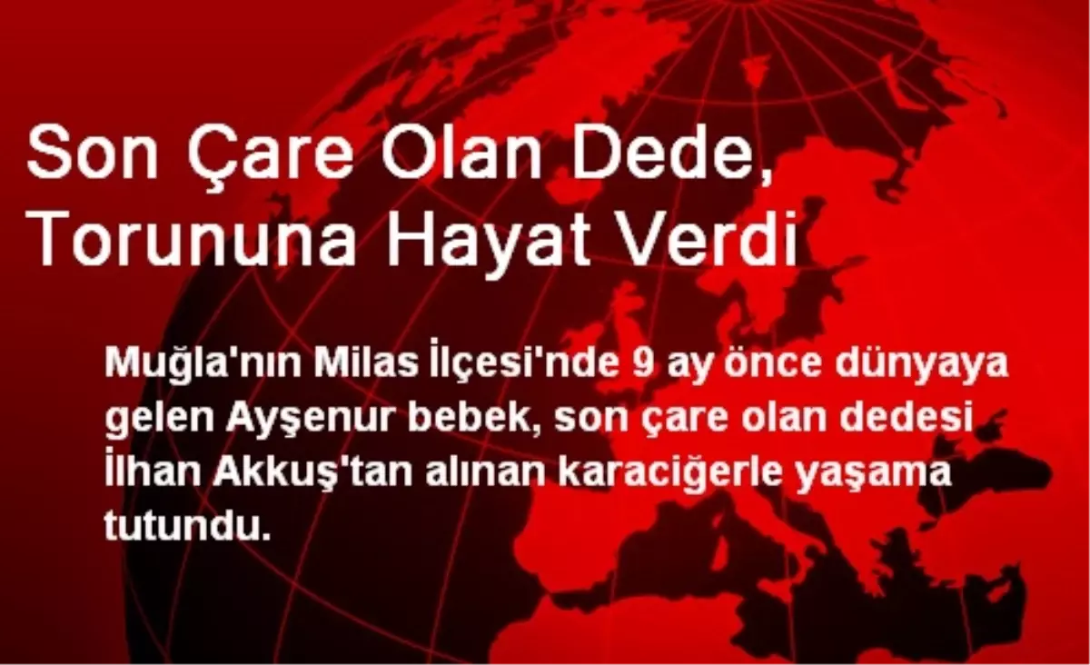 Son Çare Olan Dede, Torununa Hayat Verdi