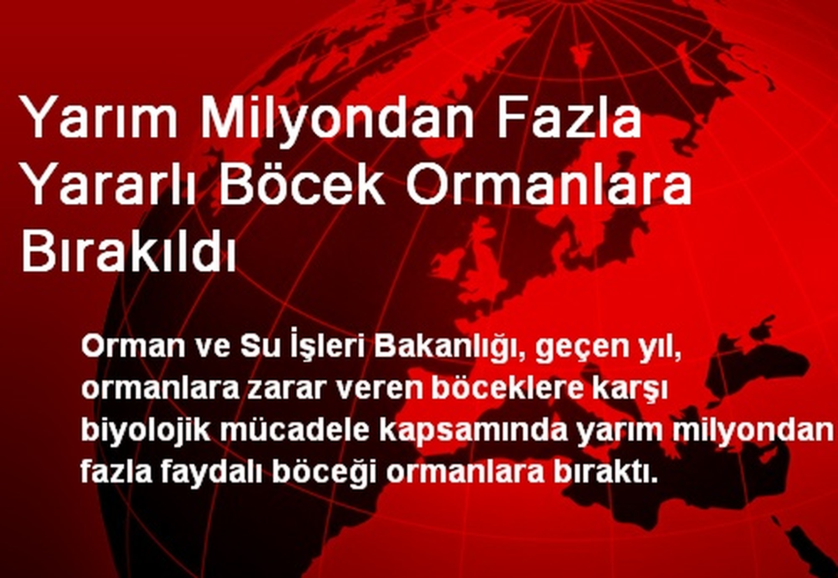 Yarım Milyondan Fazla Yararlı Böcek Ormanlara Bırakıldı
