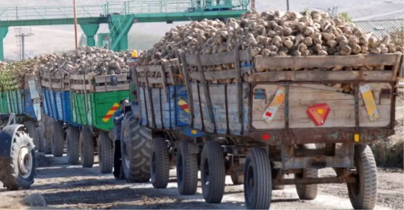 Sarıkayalı Çiftçilere Pancar Bedelleri Ödenmeye Başladı