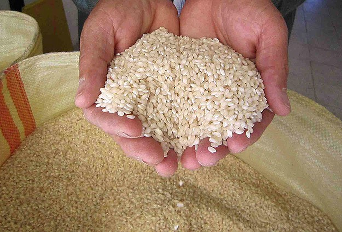 TMO Marketlerde Pirinç Satışına Devam Ediyor