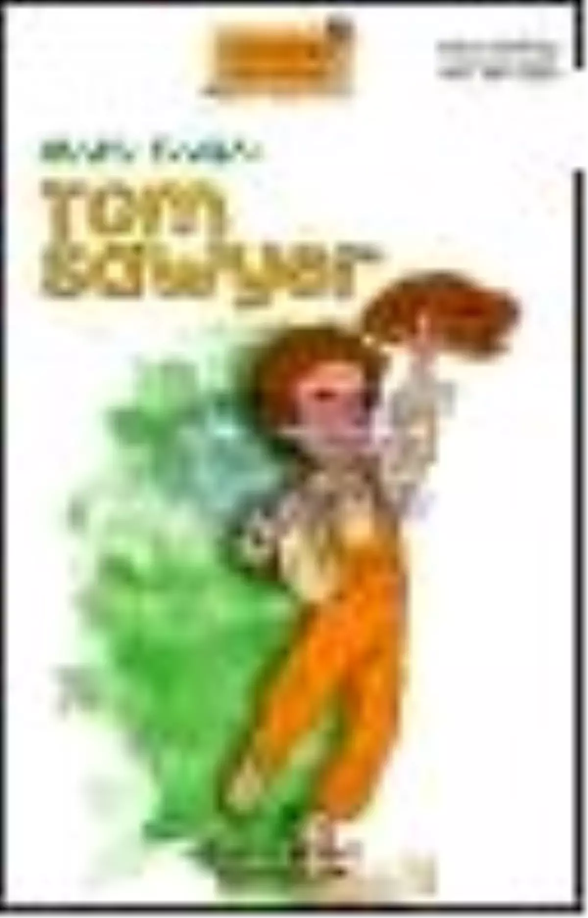 Tom Sawyer Kitabı