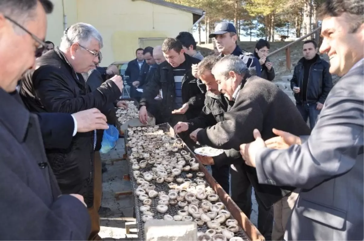 Yozgat\'ta İlk Kez Kültür Mantarı Festivali Düzenlendi