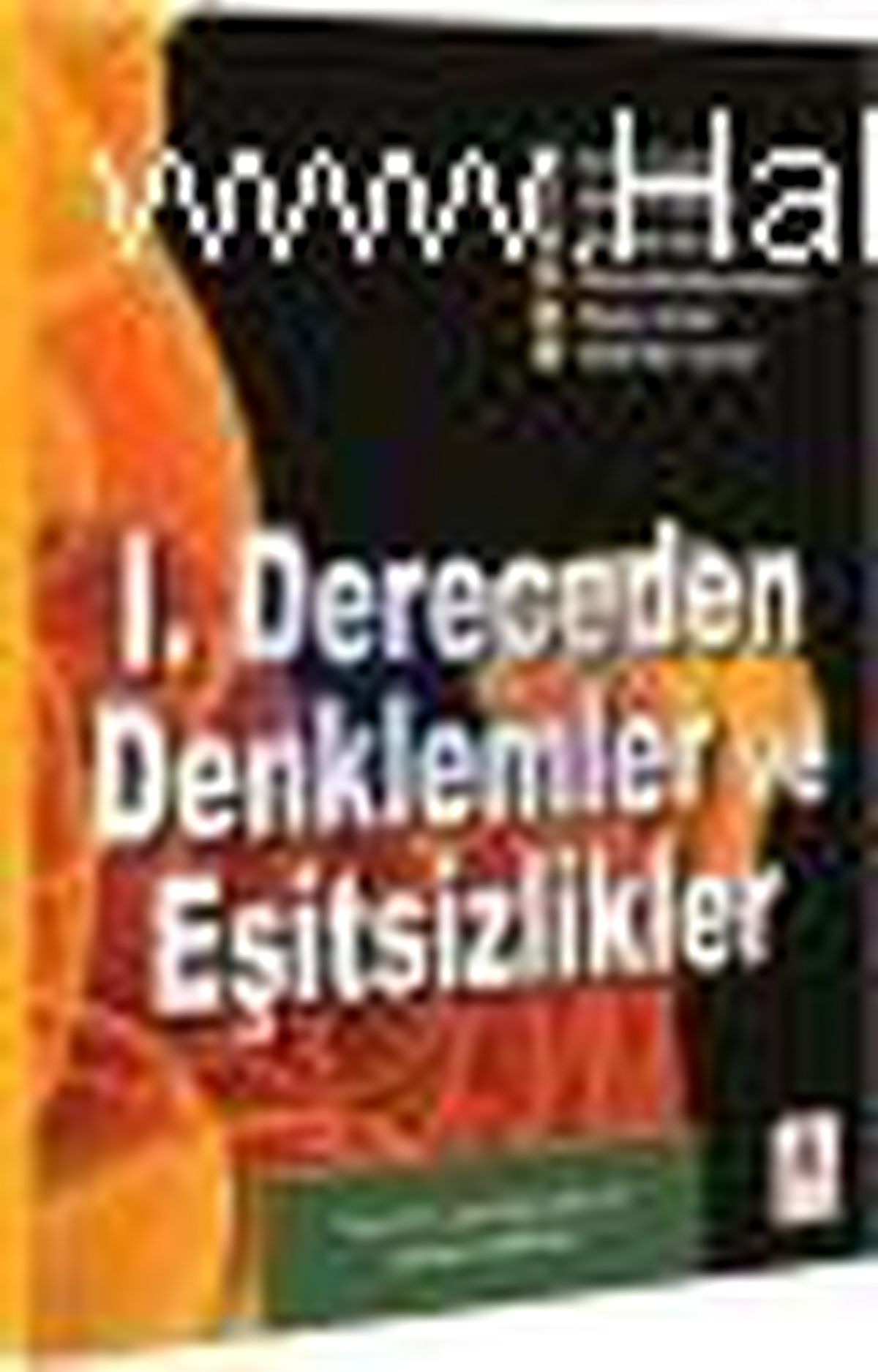 1. Dereceden Denklemler ve Eşitsizlikler Kitabı Çıktı