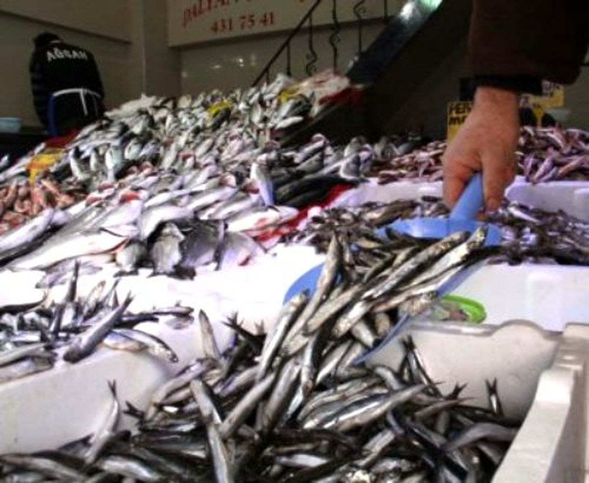 Bandırma\'da Balık Fiyatları Düştü